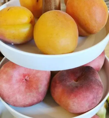 酒店 瑞来斯杜卢瓦尔酒店 拉弗雷切