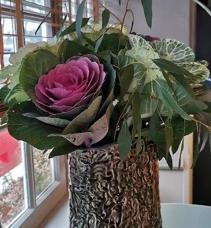 瑞来斯杜卢瓦尔酒店 酒店 3*