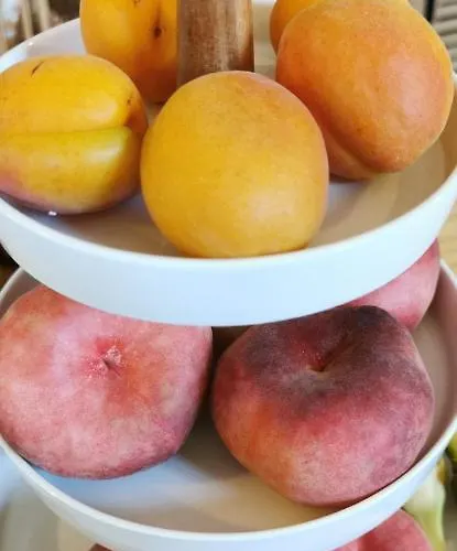 Hotel Relais Du Loir La Flèche